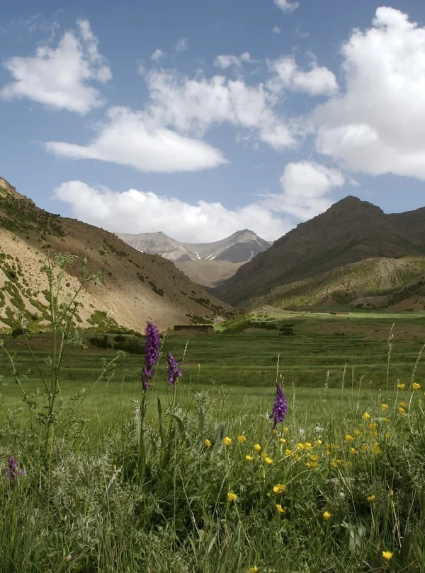 Trekking in the M'goun Mountain 6 days