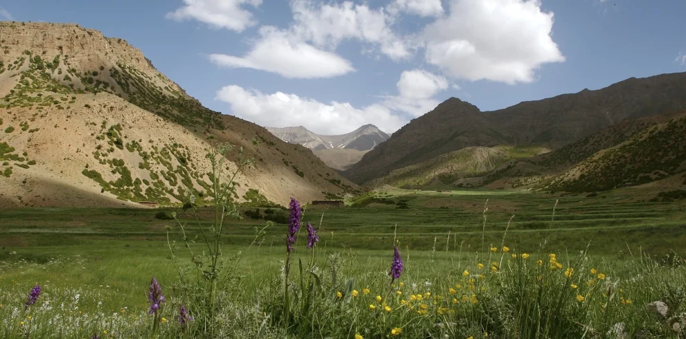 Trekking in the M'goun Mountain 6 days