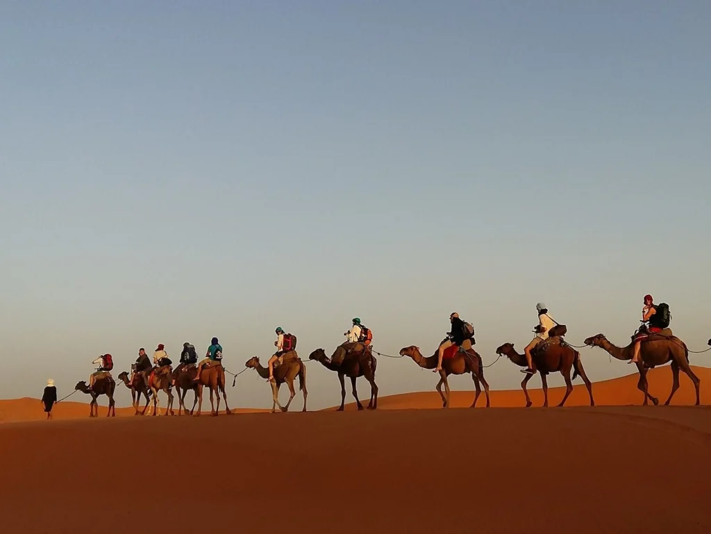 Merzouga camel ride