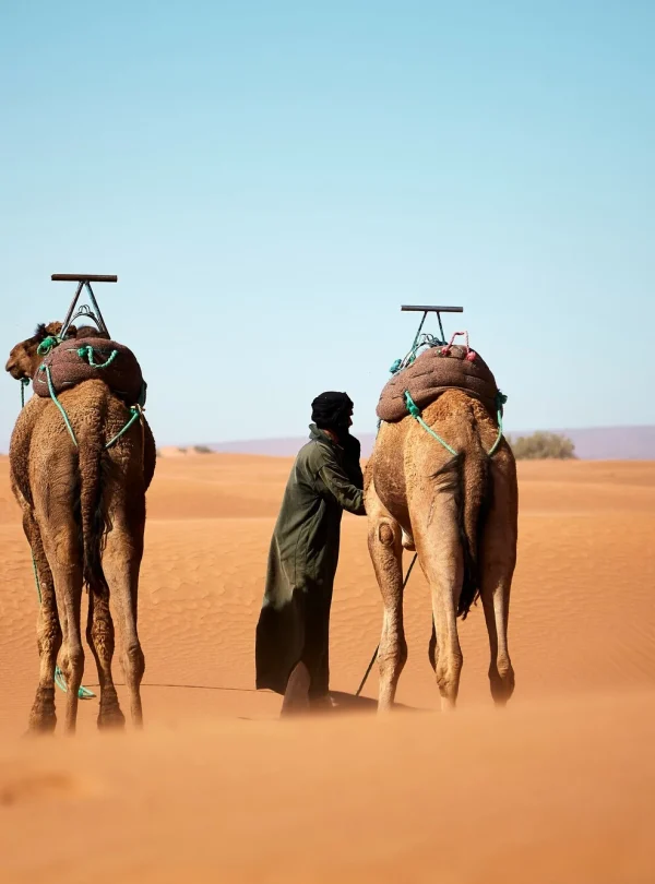 Trekking in M'hamid El ghizlane and chegaga desert 8 days