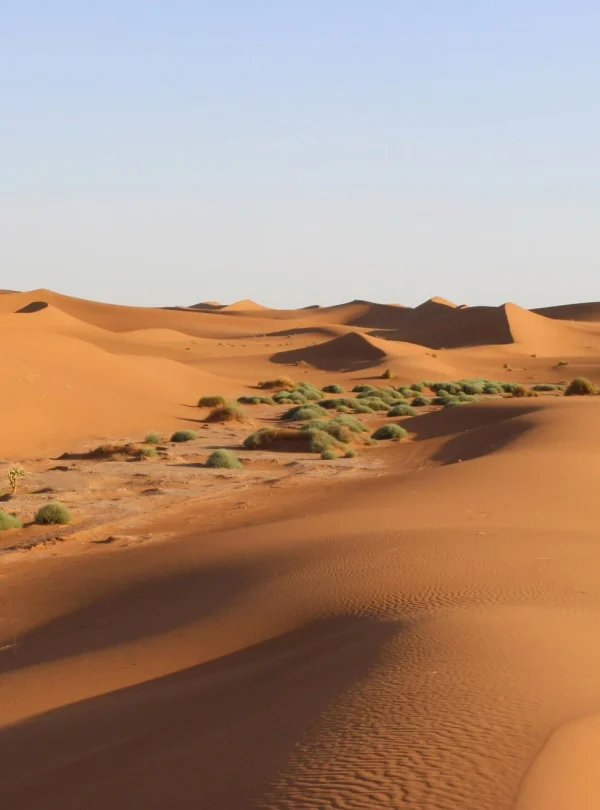 2 Days Tour Marrakech Mhamid